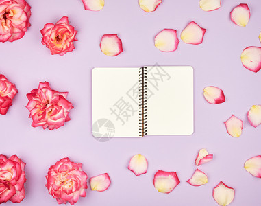 张开笔记本白空页在紫色背景和粉红玫瑰花瓣上顶视图平铺图片