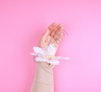 在粉红背景时尚的手护理概念抗老年护理温泉治疗图片