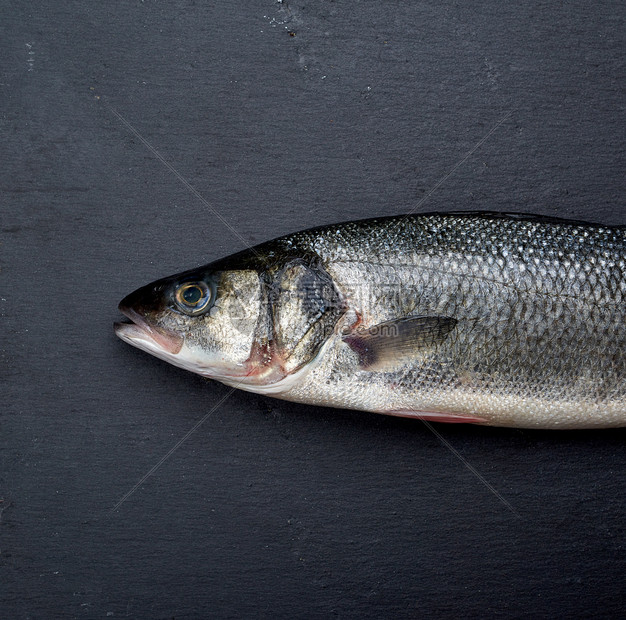 黑底鱼顶视角凝聚层