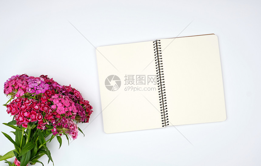 白背景的土耳其康乃馨盛开的红发芽和白页面顶视图平铺的开放笔记本图片