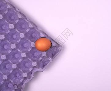 带细胞顶视图复制空间的生鸡蛋紫色保护托盘图片