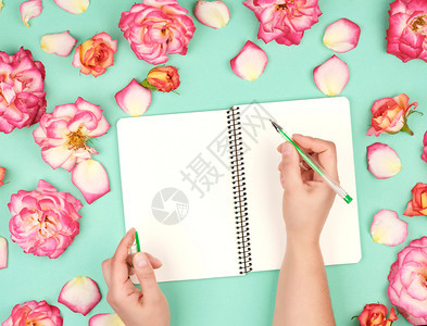女手握着白笔在空纸上紧靠一束盛开的粉红玫瑰花最上方的风景图片