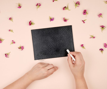 黑白粉板和两只手与白粉蜜色背景和花蕾顶视图图片