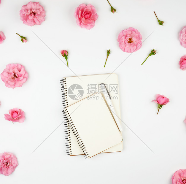 在紫色背景和粉红玫瑰花瓣上白的笔记本和白的空页图片