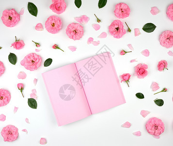以粉红白背景和玫瑰花瓣上的粉红色空白页面打开的笔记本最高视图图片