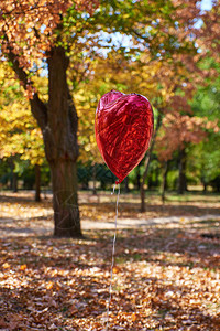 秋天公园的红气球苍蝇图片