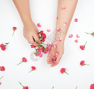 两只女手皮肤光滑白底粉红玫瑰花时髦的皮肤护理概念图片