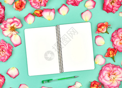 绿色背景和粉红玫瑰花瓣上的白页面图片