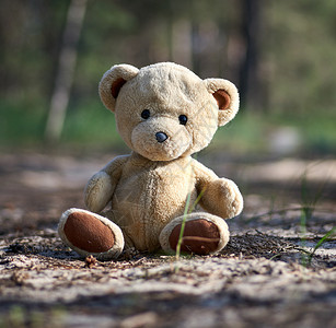 被抛弃的棕色泰迪熊在晚上坐森林中间孤独的概念图片