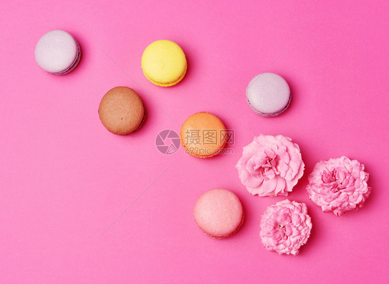 奶油和粉红玫瑰芽的圆玉粉红背景最美的平坦图片