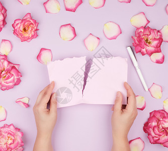 两只手握着从笔记本撕破的空粉红色纸片在盛开的玫瑰花芽背景下撕开它图片