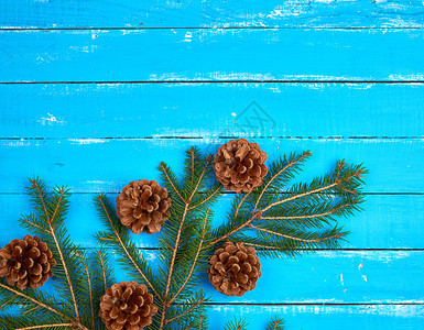 绿色生树枝棕锥子蓝木背景来自板圣诞节复制空间图片