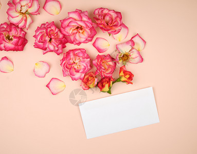 粉红玫瑰花芽和白纸袋放在一双小字背景上顶视面平图片