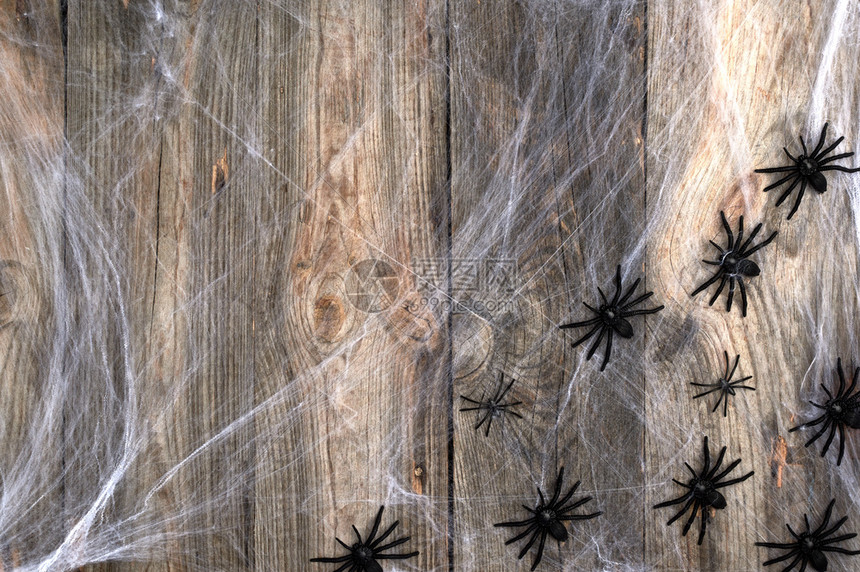 白色蜘蛛网和黑色蜘蛛在灰色的木板背景上作为万圣节的背景图片