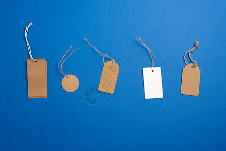 蓝色背景上的绳索一套纸面棕色和白空标签用于包装设计的旧平板商业模纸面棕色标签空价格图片
