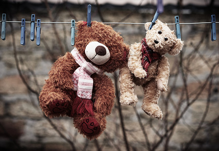 棕色的湿泰迪熊挂在衣绳上新鲜空气中干燥图片