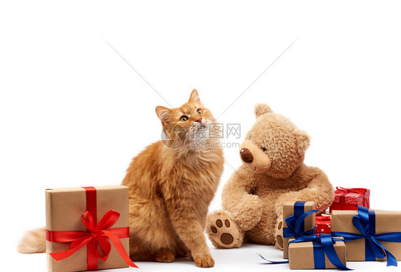 坐在包着棕色纸的盒子中间绑着丝带礼物和白色的动生日贺卡情人节图片