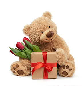 棕色可爱泰迪熊将一束红色郁金香放在他的爪中图片