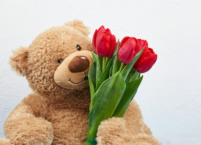 可爱的棕色泰迪熊将一束红郁金香生日节情人周年纪念日的喜庆背景浪漫的贺卡放在他爪子中图片