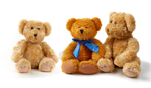棕色的泰迪熊坐在白色背景上玩具在白色背景上被孤立图片