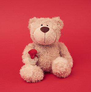小棕色泰迪熊玩具坐在红色背景关闭图片