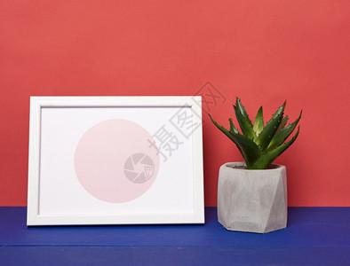 白色照片框和陶瓷锅在蓝色木制桌上种植物最起码的风格红色背景图片