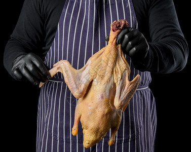 穿条纹蓝色围裙和黑衣服的男厨站在色背景上手里握着鸭子做饭图片