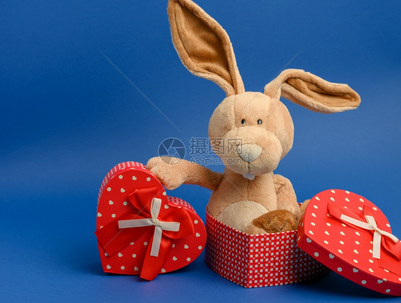 带着一个装有红丝带蓝底的礼物盒可爱小白兔图片