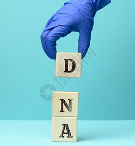 蓝底木制方块上的缩写式DNA图片