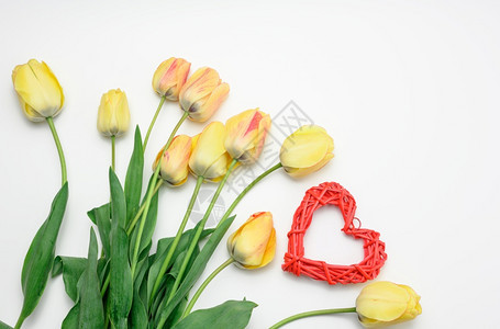 白色背景顶视图情人节日背景的红色心和黄郁金香图片