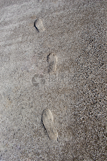 哪里可以看足球情报