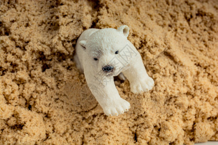 将北极熊模型放在沙地背景上图片