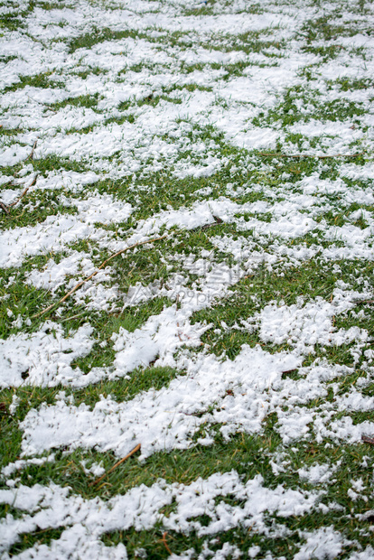 寒冬的青草上白雪图片