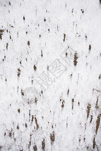视图中的地面抽象背景中的雪图片
