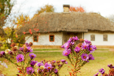 传统的乌克兰农村小屋有稻草顶图片