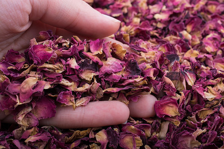 香草茶在手的时候干枯玫瑰花瓣图片