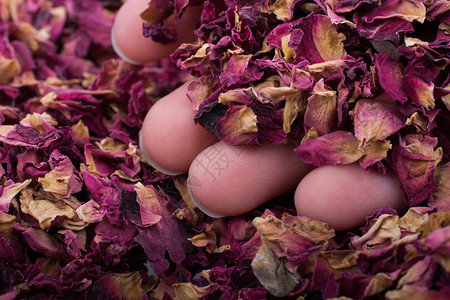 香草茶在手的时候干枯玫瑰花瓣图片