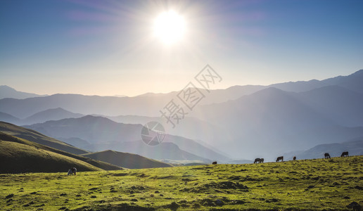 阳光照在土耳其阿尔特文高地草原图片