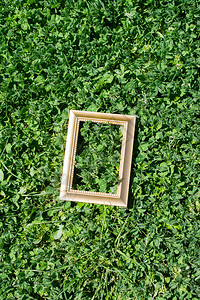绿草背景上的木图框背景图片