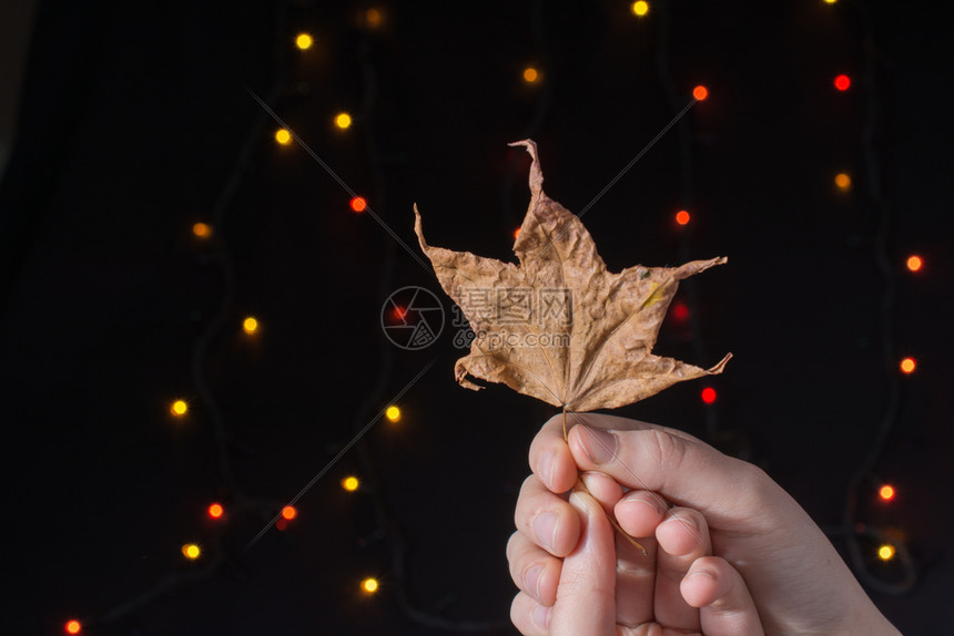 手握的叶子背着一个bokeh光背景图片