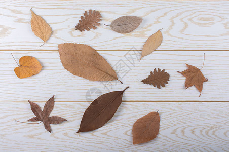放在木板质上的秋叶图片