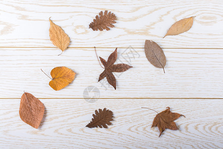放在木板质上的秋叶图片