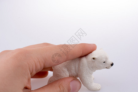 手握白极北熊模型图片