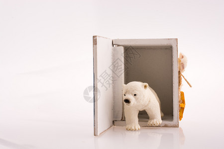 白木壳和底北极熊图片