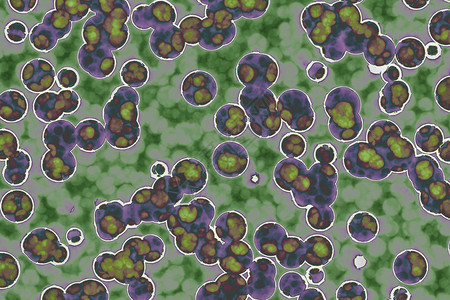 埃博拉病毒细菌胞的形状共生菌bacilli菌螺旋本底背景