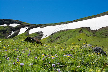 阿尔特文高地山丘的美丽风景与冰川图片