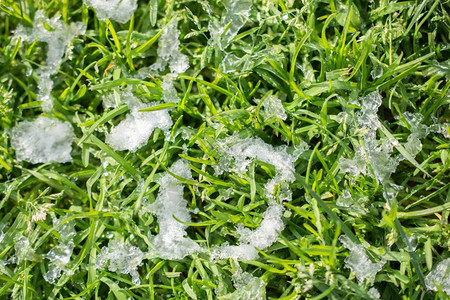 冬季花园草地上白雪层图片