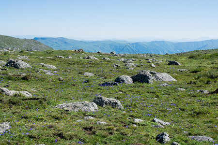 土耳其阿尔特文高地山丘的景象图片
