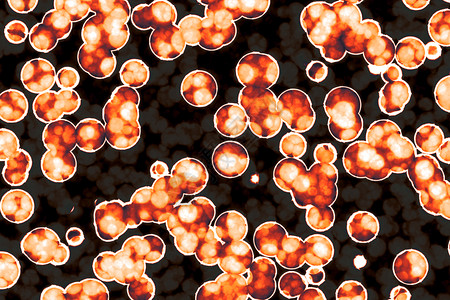 埃博拉病毒细菌胞的形状共生菌bacilli菌螺旋本底背景