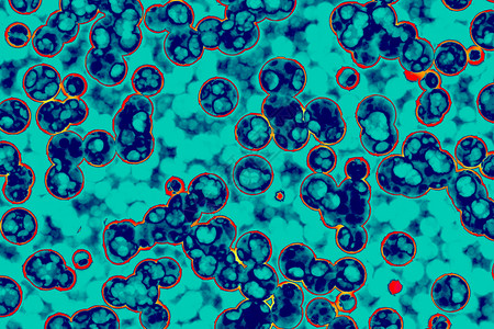 细菌胞的形状共生菌bacilli菌螺旋本底图片素材